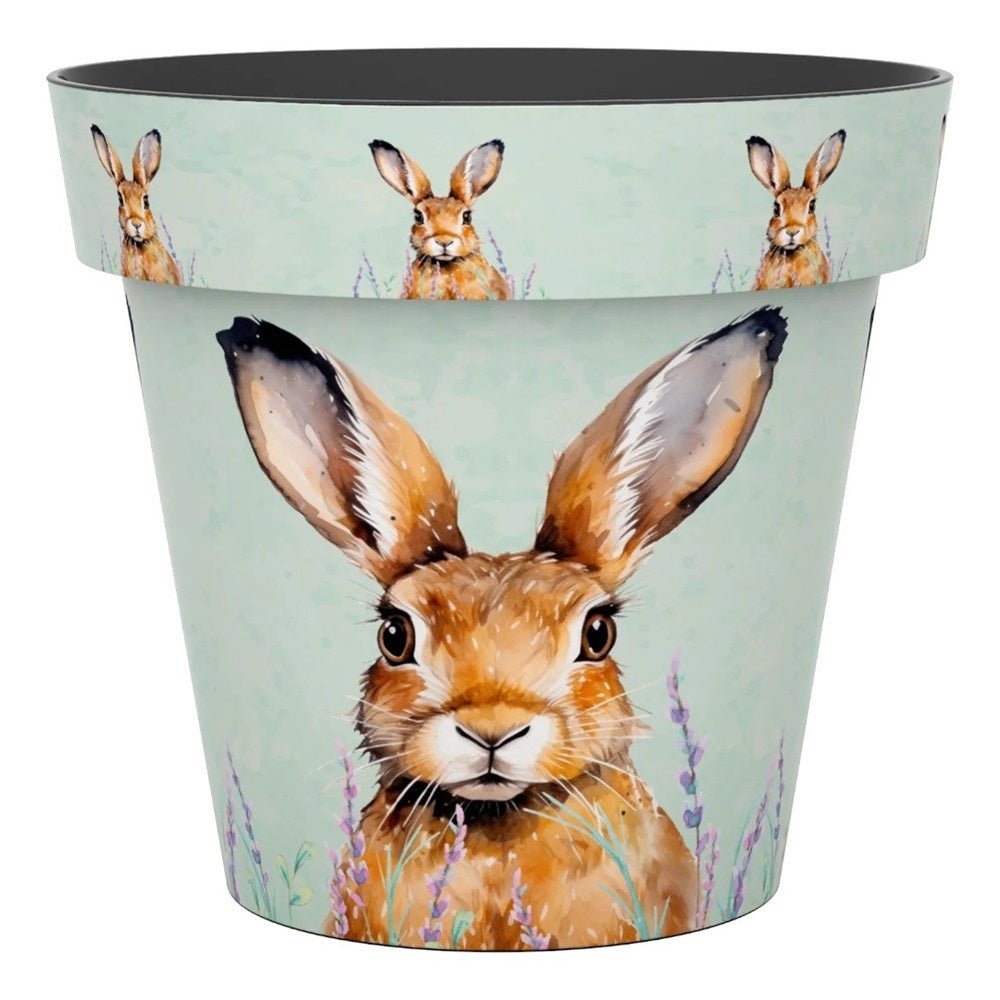 Zest Hare Garden Pots - 1st Stop Marshall's Health Shop, Gift Shop! - Heath and Natural Therapy New Brighton Christchurch - Naturopath