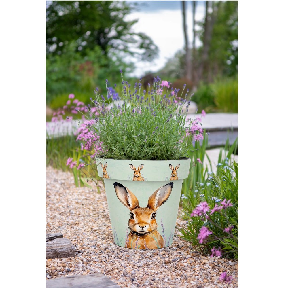Zest Hare Garden Pots - 1st Stop Marshall's Health Shop, Gift Shop! - Heath and Natural Therapy New Brighton Christchurch - Naturopath