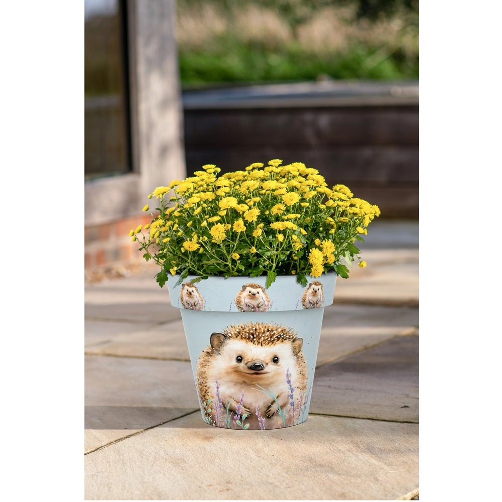 Zest Hedgehog Garden Pots - 1st Stop Marshall's Health Shop, Gift Shop! - Heath and Natural Therapy New Brighton Christchurch - Naturopath