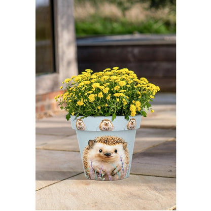 Zest Hedgehog Garden Pots - 1st Stop Marshall's Health Shop, Gift Shop! - Heath and Natural Therapy New Brighton Christchurch - Naturopath