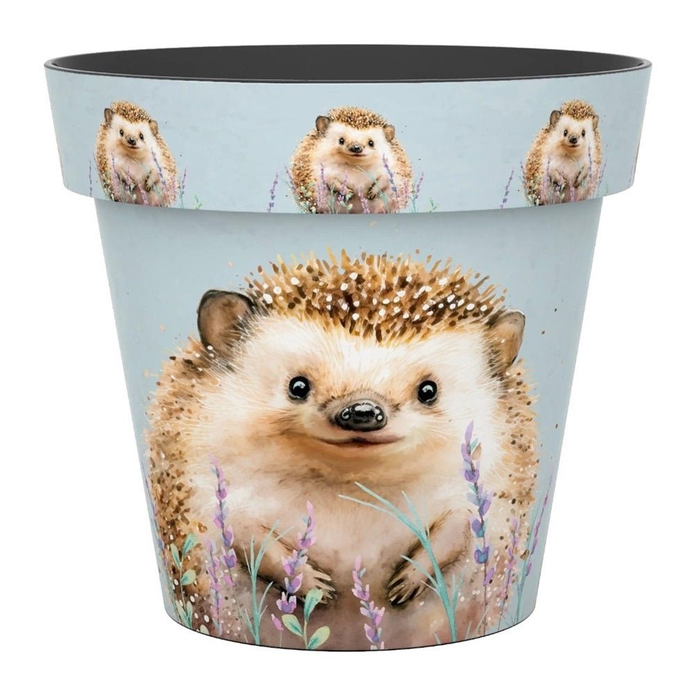 Zest Hedgehog Garden Pots - 1st Stop Marshall's Health Shop, Gift Shop! - Heath and Natural Therapy New Brighton Christchurch - Naturopath