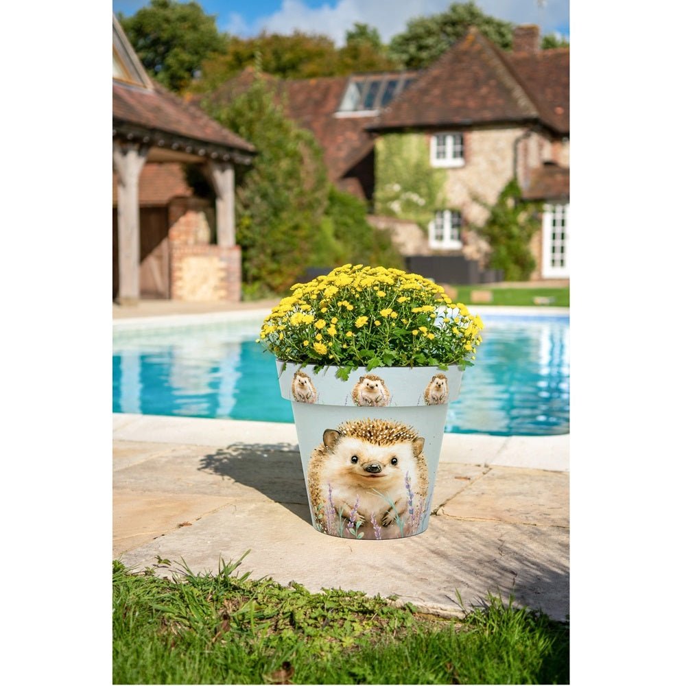 Zest Hedgehog Garden Pots - 1st Stop Marshall's Health Shop, Gift Shop! - Heath and Natural Therapy New Brighton Christchurch - Naturopath