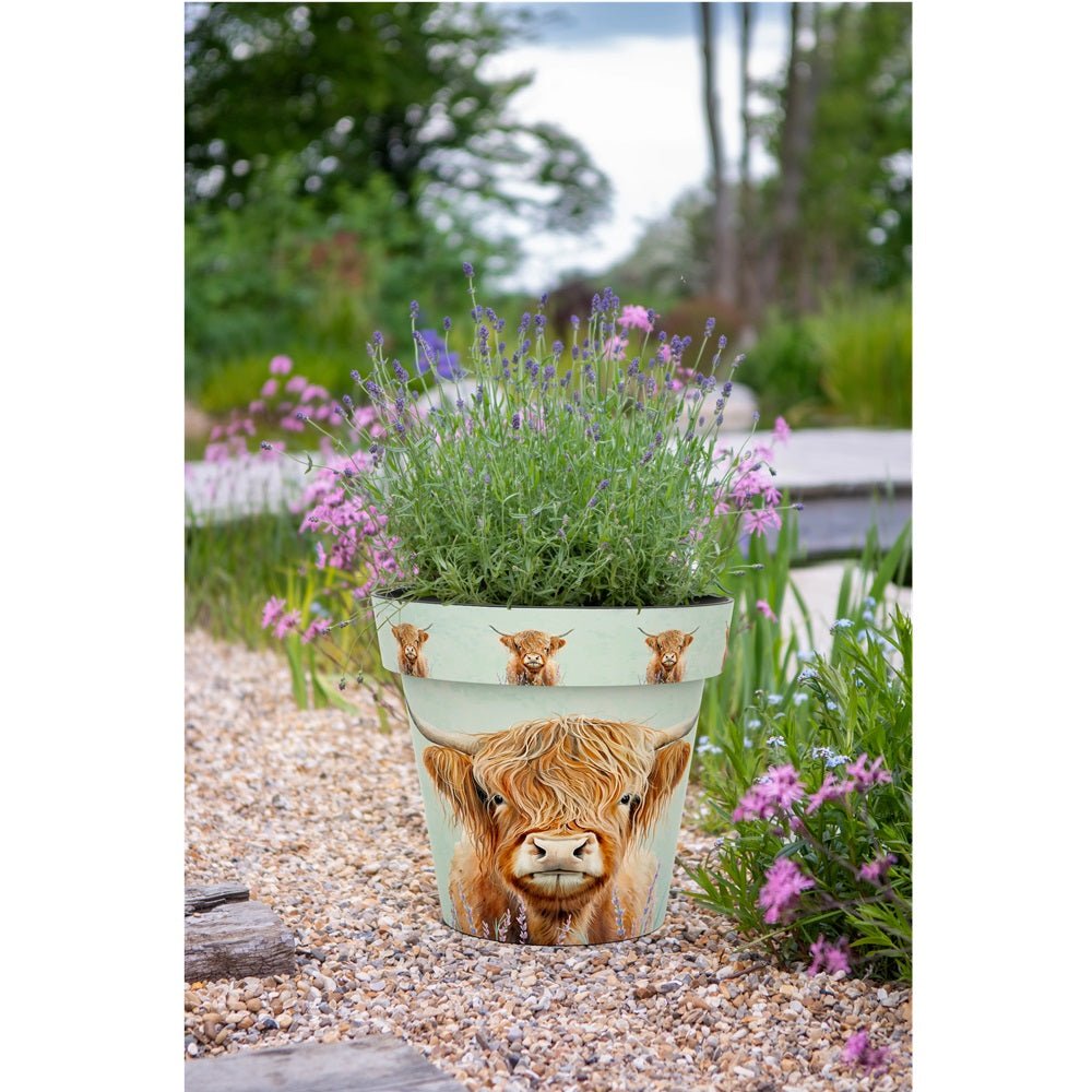 Zest Highland Cow Garden Pots - 1st Stop Marshall's Health Shop, Gift Shop! - Heath and Natural Therapy New Brighton Christchurch - Naturopath