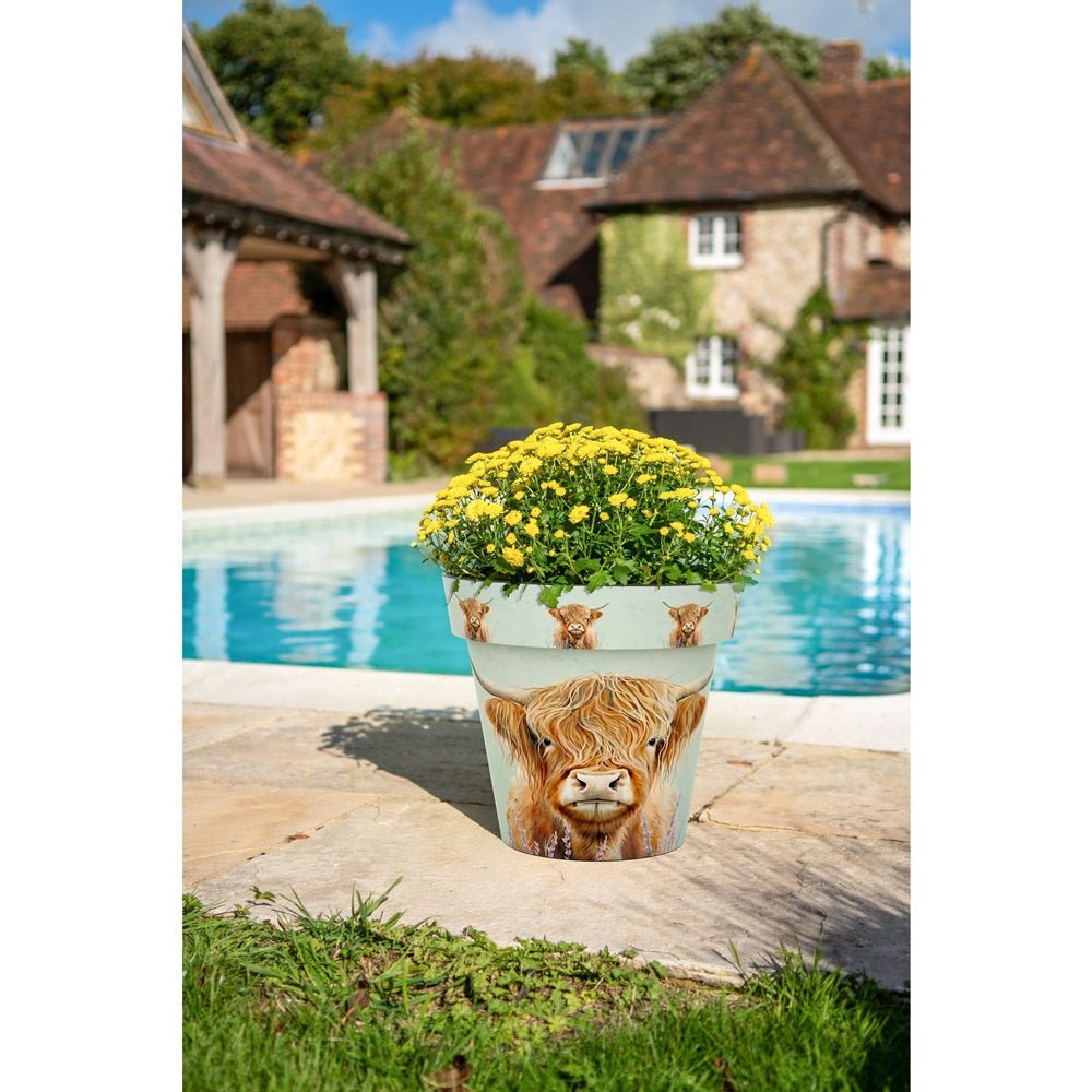 Zest Highland Cow Garden Pots - 1st Stop Marshall's Health Shop, Gift Shop! - Heath and Natural Therapy New Brighton Christchurch - Naturopath