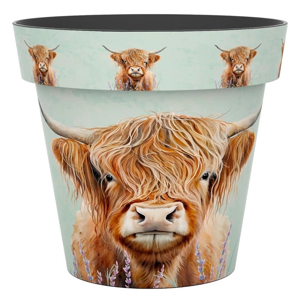 Zest Highland Cow Garden Pots - 1st Stop Marshall's Health Shop, Gift Shop! - Heath and Natural Therapy New Brighton Christchurch - Naturopath