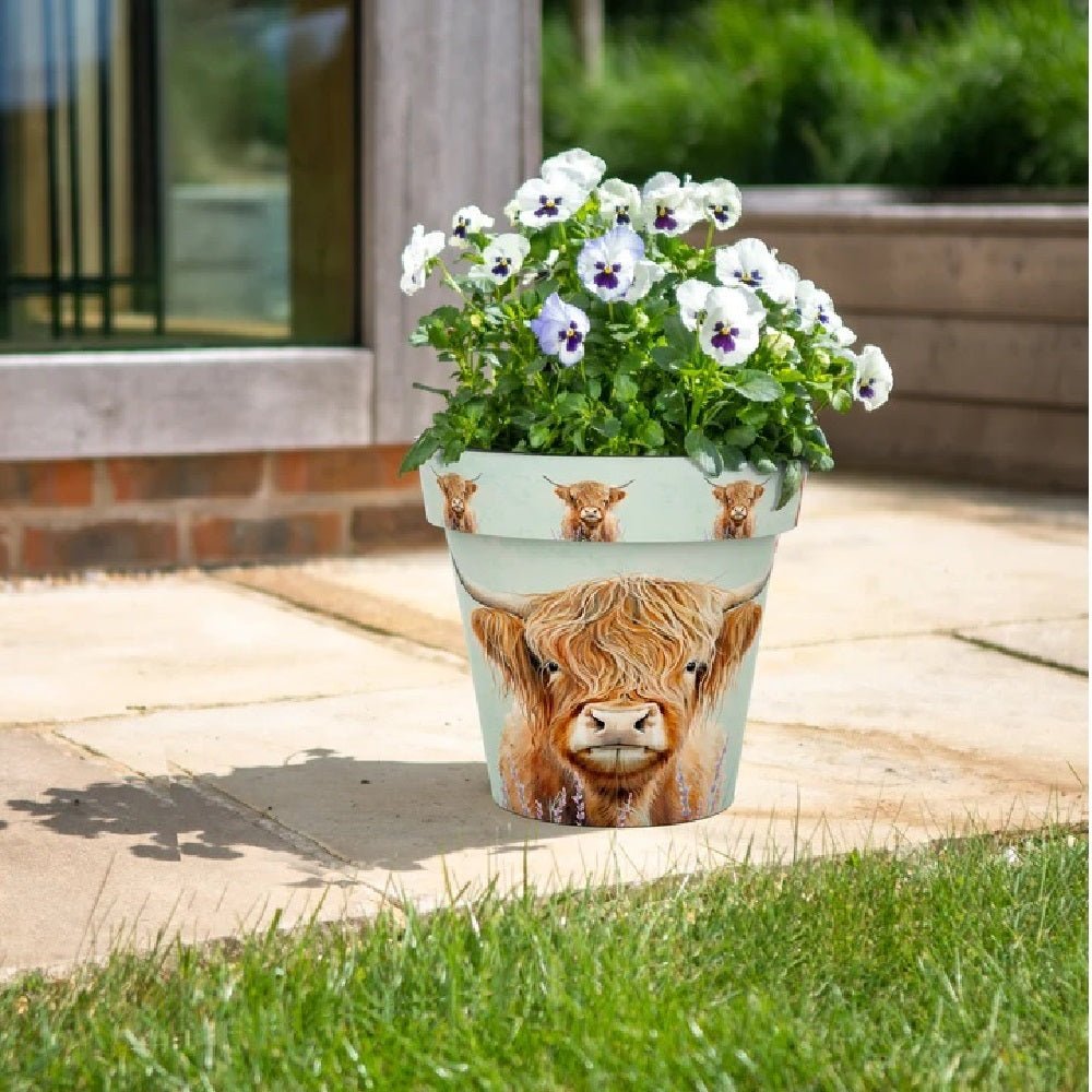 Zest Highland Cow Garden Pots - 1st Stop Marshall's Health Shop, Gift Shop! - Heath and Natural Therapy New Brighton Christchurch - Naturopath