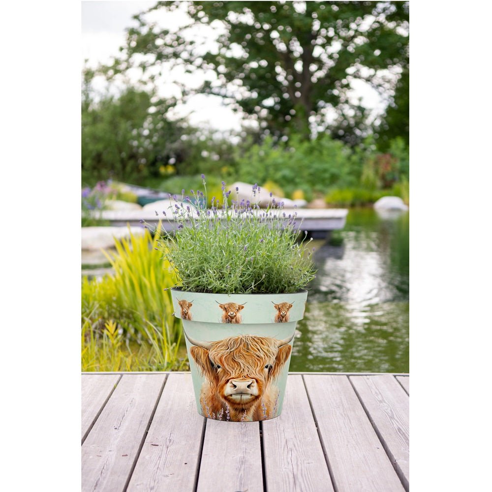Zest Highland Cow Garden Pots - 1st Stop Marshall's Health Shop, Gift Shop! - Heath and Natural Therapy New Brighton Christchurch - Naturopath