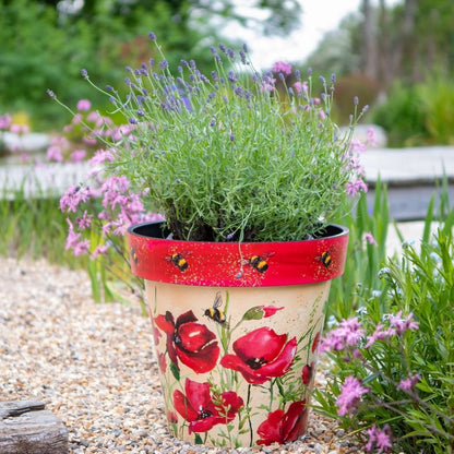Zest Poppies & Bees Garden Pots - 1st Stop Marshall's Health Shop, Gift Shop! - Heath and Natural Therapy New Brighton Christchurch - Naturopath