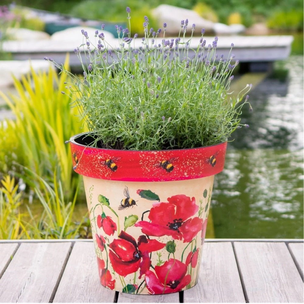 Zest Poppies & Bees Garden Pots - 1st Stop Marshall's Health Shop, Gift Shop! - Heath and Natural Therapy New Brighton Christchurch - Naturopath