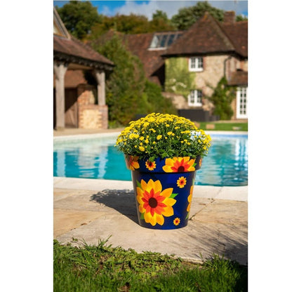 Zest Sunflower Garden Pots - 1st Stop Marshall's Health Shop, Gift Shop! - Heath and Natural Therapy New Brighton Christchurch - Naturopath