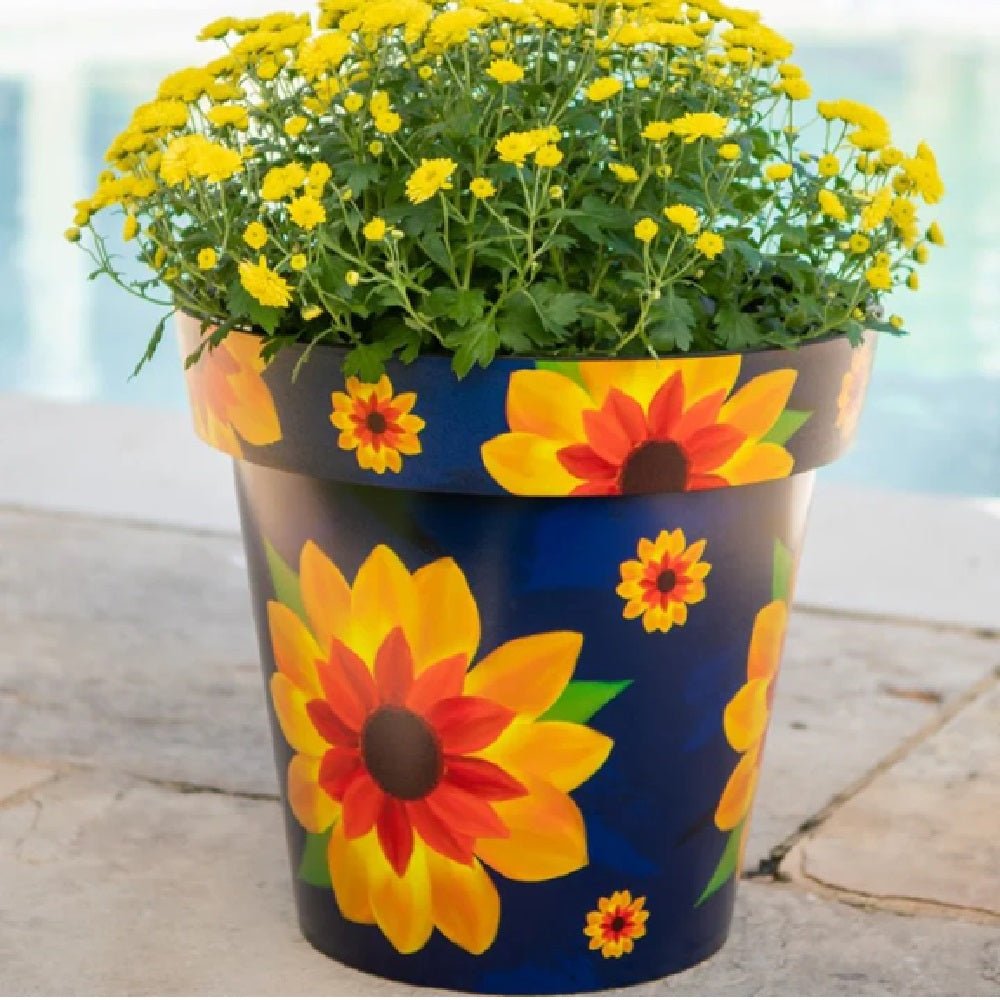 Zest Sunflower Garden Pots - 1st Stop Marshall's Health Shop, Gift Shop! - Heath and Natural Therapy New Brighton Christchurch - Naturopath