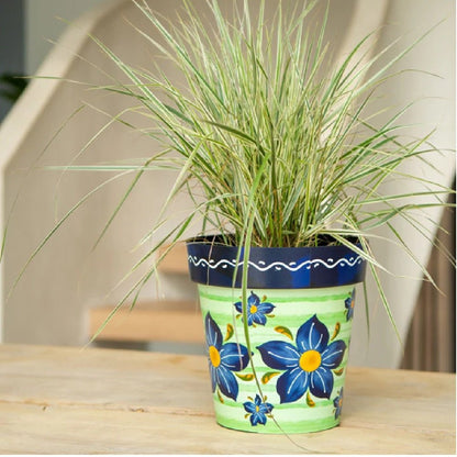 Zest Verde Garden Pots - 1st Stop Marshall's Health Shop, Gift Shop! - Heath and Natural Therapy New Brighton Christchurch - Naturopath