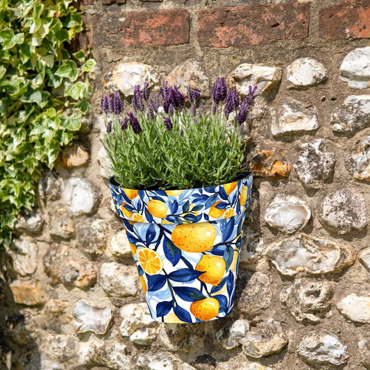 Zest Wall Pot Marbella - 1st Stop Marshall's Health Shop, Gift Shop! - Heath and Natural Therapy New Brighton Christchurch - Naturopath