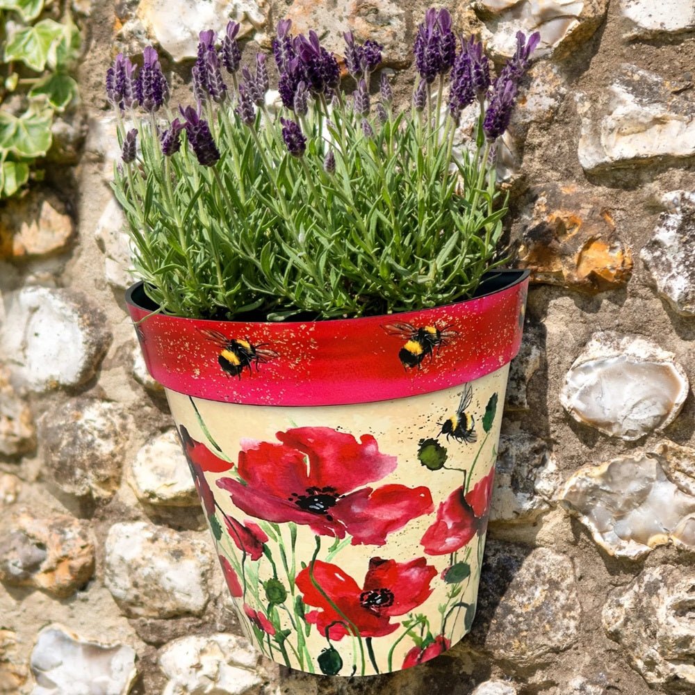 Zest Wall Pot Poppies & Bees - 1st Stop Marshall's Health Shop, Gift Shop! - Heath and Natural Therapy New Brighton Christchurch - Naturopath