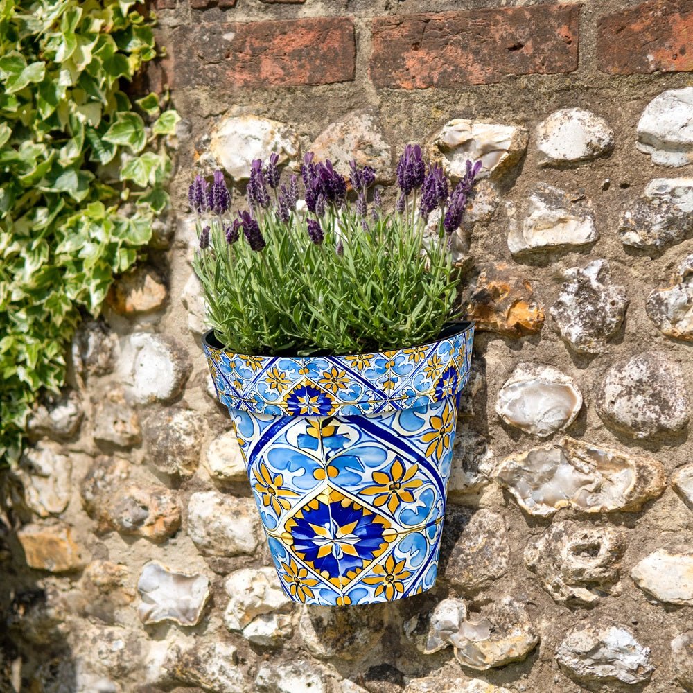 Zest Wall Pot Seville - 1st Stop Marshall's Health Shop, Gift Shop! - Heath and Natural Therapy New Brighton Christchurch - Naturopath