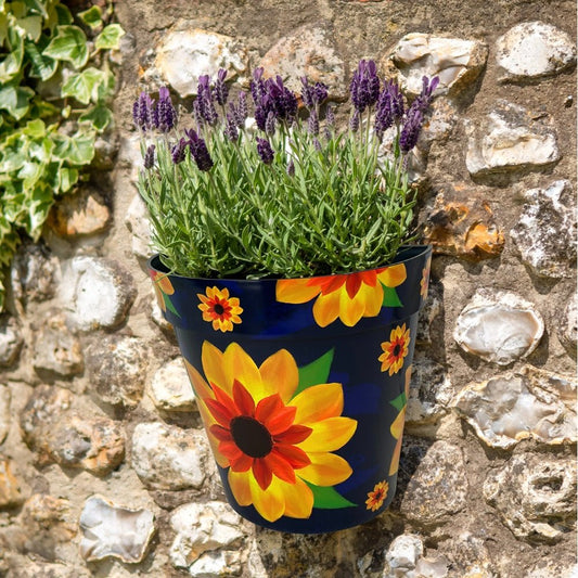 Zest Wall Pot Sunflower - 1st Stop Marshall's Health Shop, Gift Shop! - Heath and Natural Therapy New Brighton Christchurch - Naturopath