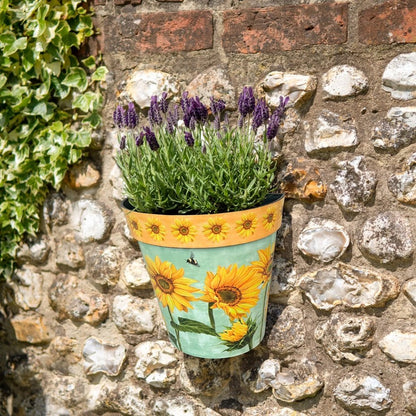 Zest Wall Pot Watercolour Sunflower - 1st Stop Marshall's Health Shop, Gift Shop! - Heath and Natural Therapy New Brighton Christchurch - Naturopath