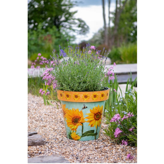 Zest Watercolour Sunflower Garden Pots - 1st Stop Marshall's Health Shop, Gift Shop! - Heath and Natural Therapy New Brighton Christchurch - Naturopath