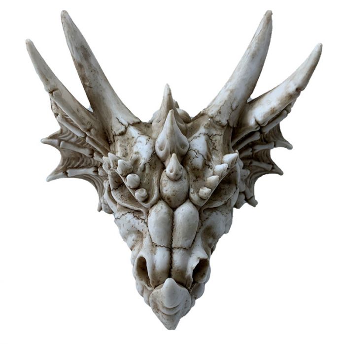 Shadows of Darkness Dragon Skull Money Box