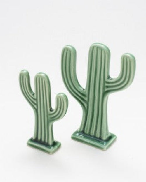 Salisbury Cactus Medium Cactus medium 12 cm ceramic  SKU: EM8014