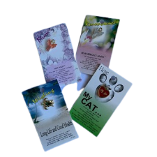 Salisbury Angel Pins Assorted
