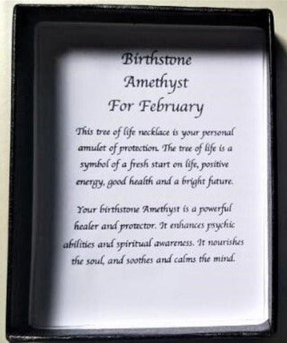 Birthstone Necklace Amethyst February - 1st Stop Marshall's Health Shop, Gift Shop! - Heath and Natural Therapy New Brighton Christchurch - Naturopath