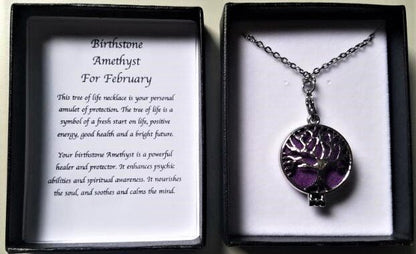 Birthstone Necklace Amethyst February - 1st Stop Marshall's Health Shop, Gift Shop! - Heath and Natural Therapy New Brighton Christchurch - Naturopath