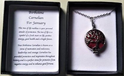 Birthstone Necklace Carnelian January - 1st Stop Marshall's Health Shop, Gift Shop! - Heath and Natural Therapy New Brighton Christchurch - Naturopath