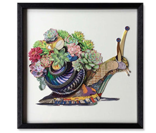 Kaku Snail Succulent Collage Art with Wood Colour Frame Size: 40x 40x 3 cm