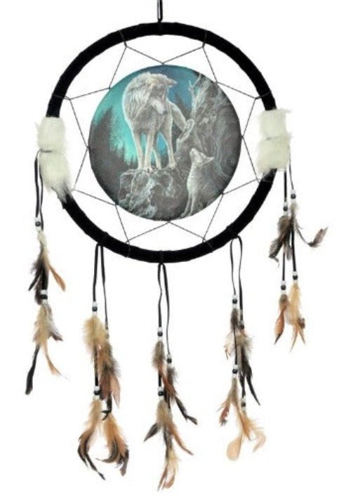 Dreamcatcher, Guidance 33cm - 1st Stop Marshall's Health Shop, Gift Shop! - Heath and Natural Therapy New Brighton Christchurch - Naturopath