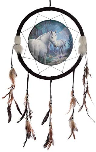 Dreamcatcher, The Journey Home 33cm - 1st Stop Marshall's Health Shop, Gift Shop! - Heath and Natural Therapy New Brighton Christchurch - Naturopath