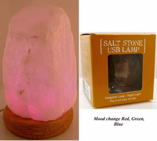 White Salt Lamp Natural Shape USB Mood Change (51)