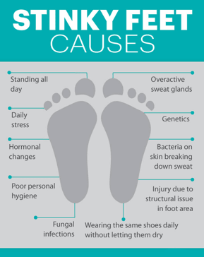 Fresh Feet Foot Powder 50g - 1st Stop Marshall's Health Shop, Gift Shop! - Heath and Natural Therapy New Brighton Christchurch - Naturopath