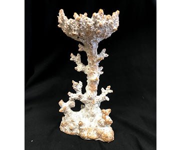 Kaku Coral Candle Holder (192003)