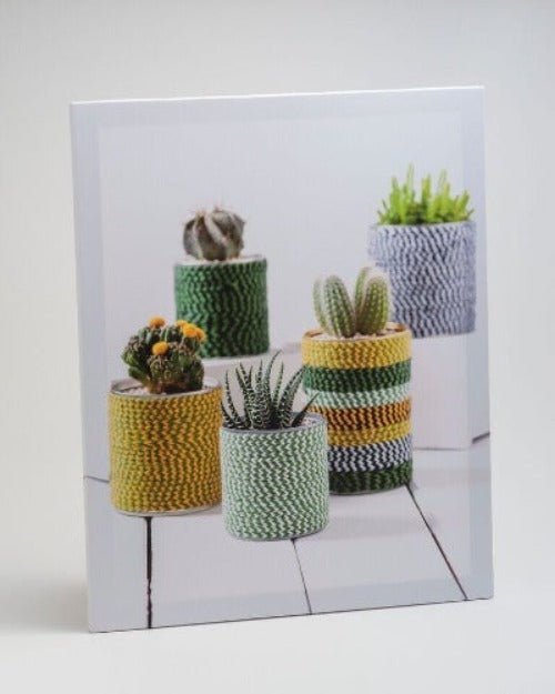 Wall Art Five Cacti Print