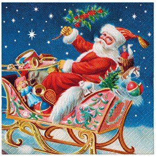 Santa Claus on Sleigh Napkins - MarshallsHealthShop