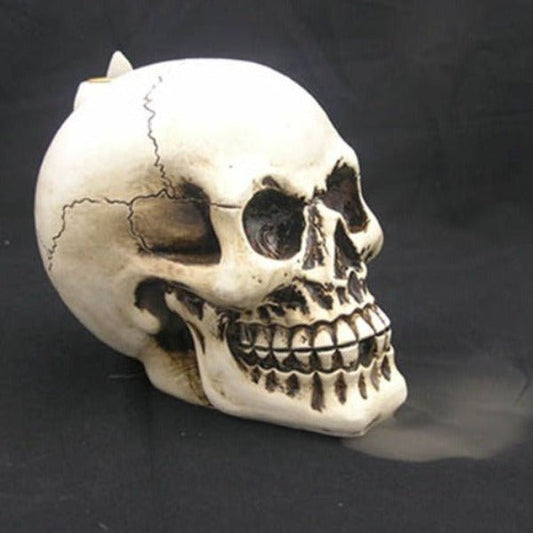 Skull Backflow Incense Burner - 1st Stop Marshall's Health Shop, Gift Shop! - Heath and Natural Therapy New Brighton Christchurch - Naturopath